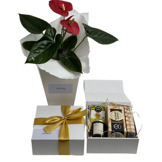 Gift Box Image, shot from above, Flowers in white gift bag with medium white gift box filled with fruit paste, amberjack candle, crackers and shortbread, Gift baskets Auckland