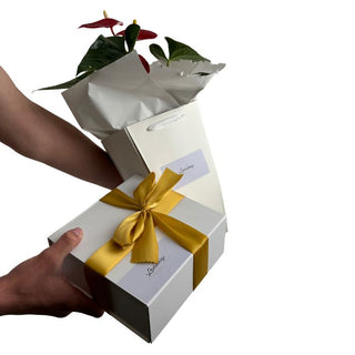 Gift Box Image, holding the gift box and flowers, Gift baskets Auckland