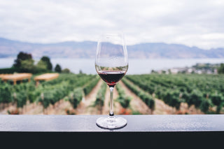 What Wine Should I Buy?