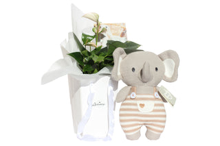 Gift Box Image Flowers in white gift bag with knitted elephant soft toy
