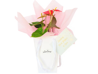 Gift Box Image Flower gift in pink ideal for new baby, gift for her birthday, Mother's Day thank you and so much more. Delivered within NZ North Island by Batenburgs Gift Hampers NZ. Batenburgs Gift Baskets Auckland 