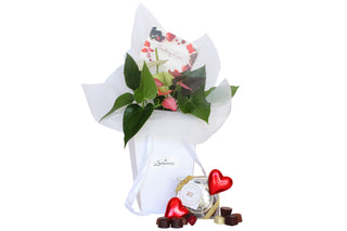 Gift Box Image Gift with stunning flowering indoor plant and luxurious handcrafted chocolates delivered within NZ North Island by Batenburgs Gift Hampers.